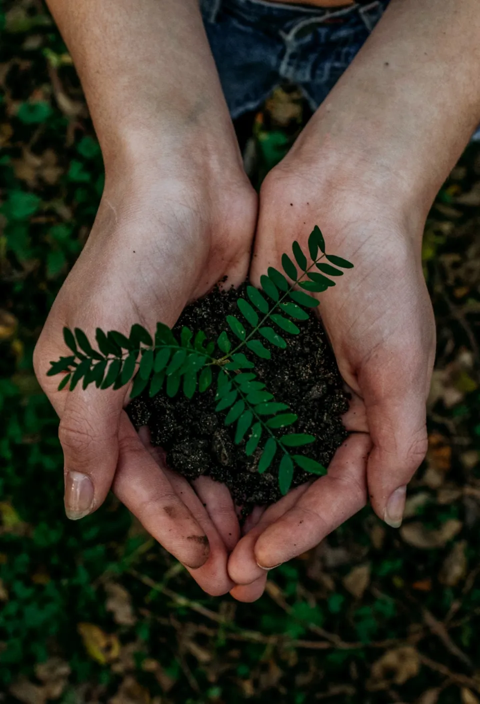 Sustainability — resilient economy and environmental stewardship